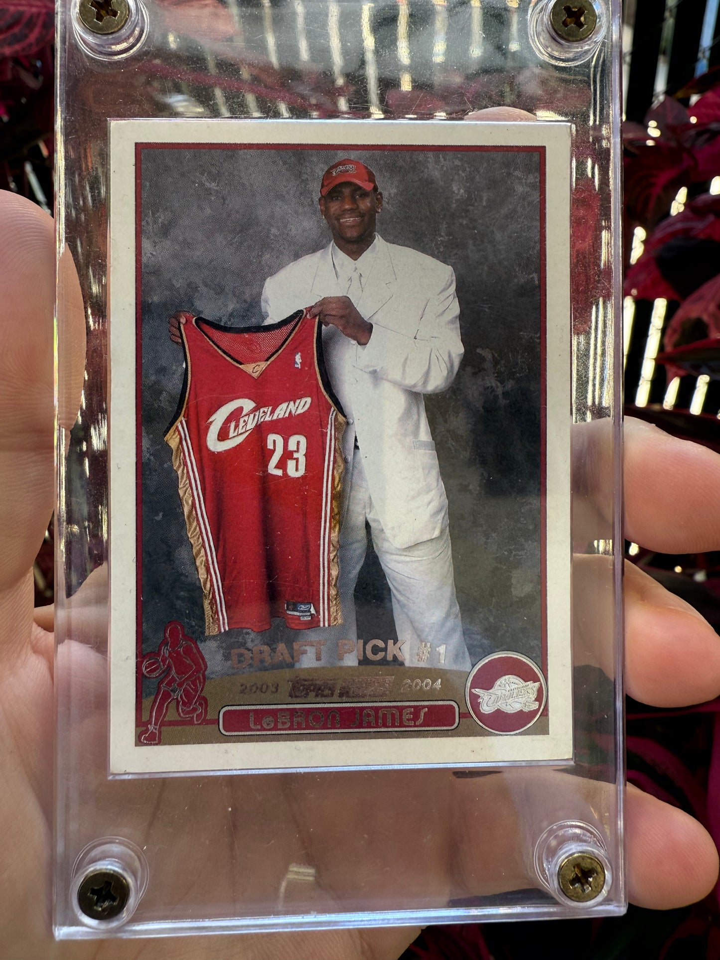 2003 LeBron James 1st Edition Rookie Card